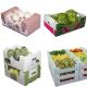 Corn Corflute Box Vegetable Corrugated Boxes Recyclable Custom Size