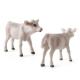 Zoo Farm Fun Toys Model For Children Kids Baby Cow Action Figure Simulated Animal Figurine Plastic Models