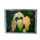 AA084VJ11 WLED Led Screen Display For Industrial 8.4 Inch Mitsubishi 640*480 95PPI