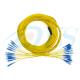 High Fiber Density Optical Fiber Patch Cord Single Mode 4 - 48 Cores Ribbon / Bundle Pigtail