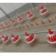 Poultry Farm Shed Ground Broiler Poultry Equipment