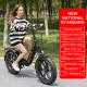 Ladies Lithium Battery Electric Bike 30km/H Variable Speed