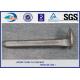 ISO Certificate Railroad Track Spikes / Rail Dog Spike For Timber Sleeper