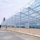Large Glass Greenhouse Oasis Eco-Friendly Solution for Plant Cultivation Solutions