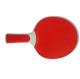 Professional Ping Pong Paddles Waterproof Reversed , Rubber Plastic Ping Pong Racket