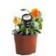 Portable Soil pH & Moisture Analyzer - Easy & Fast Soil Monitoring