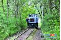 Gannan Forest Railway Under Repair