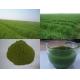 100% natural Bayley  grass powder,Organic Barley Grass powder,High quality Barley GrassPowder