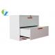 Steel Office Two Drawer Horizontal File Cabinet With Anti - Tilt Function