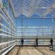 Fruits 0.4KN/M2 4m Height Commercial Glass Greenhouse