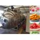 Medium Food Vacuum Freeze Drying Machine 100kg/Batch