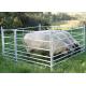 Sheep 7 Reels Heavy Duty Cattle Panel Hot Dip Galvanized Metal Steel 275 Cm X 92 Cm
