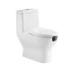 Wc Disabled Toilet Bowl S trap  300/400mm Siphonic Jet Flushing