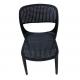 Nordic web celebrity dining chair modern simple book desk chair plastic household chair to negotiate leisure chair
