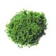 Tree powder for model tree are tree sponge ,tree foliage spongeT-1010