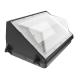 80W/100W outdoor light housing extrusted aluminum PC cover balck color garden light DLC standard