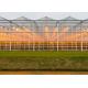 High Transmittance Plastic Panels Greenhouse Light Steel Structure Frame