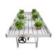 4*8ft ABS Hydroponic Greenhouse Rolling Benches 75cm Height