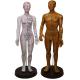Bronze Human Body Acupuncture Model Manikin with Male Acupoints and Meridian Points