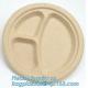 biodegradable food tray for fruit or snack biodegradable corn starch disposable plastic food tray PLA Foamed Biodegradab
