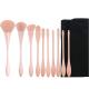 Soft Nylon Hair Powder Foundation Brush 10 Pieces For Face Eye Makeup