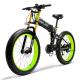 New Arrival Latest Design Low Price Guaranteed Quality Electric Bicycle Tire Snow BikeSale