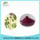 100% Natural Elderberry Extract Powder 10:1 20:1