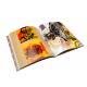 Boutique Softcover Book Printing Offset Printing Recyclable Feature