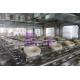 PLC Control Liquid Filling Machines With Stainless Steel Gallon Holder