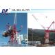 50m Jib 2500*2500*6000mm Split Mast Section Construction Tower Crane for Building