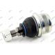 2113300435 BENZ Suspension Ball Joint