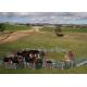 40x80mm Oval Tube Livestock Fence Panels Galvanized Corral Farm Equipment