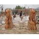 200cm Life Size Customized Lion With Wings Statue , Stone Carving Sculpture