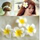 DIYPE foam artificial flowers artificial flower hairpin side clip wedding, frangipani