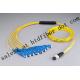 12c MPO/PC G652D Sm Fiber Optical Pigtail