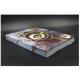 Fancy Cartoon Story Softcover Book Printing Anti - Counterfeiting Finishes