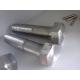 Zinc Coated ASTM A193 Gr B7 Carbon Steel Pipe Fitting