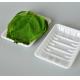 White PP 18*13*2.5cm Disposable Vegetable Trays