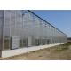 Shouguan Agricultural Glass Greenhouse Hot Dip Galvanized Rust Prevention Design