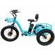 24 Inch 3 Wheel Electric Tricycle 7 Speed 48V 750W Electric Fat Tire Cargo Bike