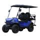 Equipped Standing Postion of Tail Caddie 2023 Golf Cart Low Speed Car with 4 Seats