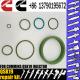 QSK19 Injector Pump Rebuild Kit OEM Diesel Engine Piston Ring