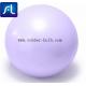 Home Pilate Fitness 55cm Stability Balance Ball with Inflation Pump