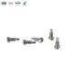 Customized Stainless Steel Dog Tail Pan Head Screws High-Performance Automobile Fasteners In Various Finishes