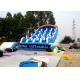 Fantasy Splendid Ocean Water Park / Outdoor Inflatable Water Slides With Cartoon Printing