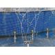 Stainless Steel 6m3/h DN25 Rotating Fountain Jet Nozzle