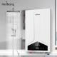 Lower Inlet And Upper Inlet Water Outlet Method Balanced Flue Gas Water Heater with Customization Configuration