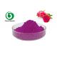 Natural 10/1 Red Dragon Fruit organic Pink Pitaya Powder for Health Care