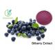 25% Anthocyanin Extract Powder 100% Natural Plant Extract Powder