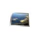 LS041Y8LX01 4.1 inch 800*480 LCD Screen Display